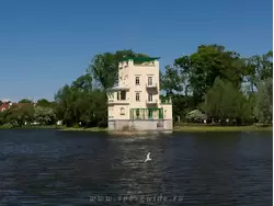 Ольгин пруд в Петродворце