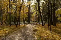 Золотая осень в Екатерининском парке, фото 19