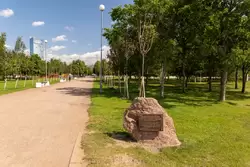 Парк 300-летия Санкт-Петербурга, фото 11
