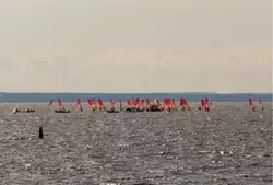 Соревновая в акватории Финского залива