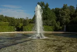 Менажерный фонтан в Петергофе