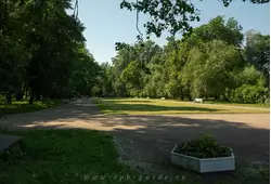 Аллея со скамейками в парке Екатерингоф
