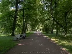 Аллея в парке Екатерингоф