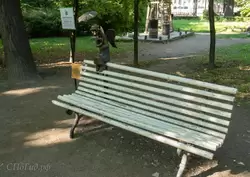 Петербургский ангел на скамейке