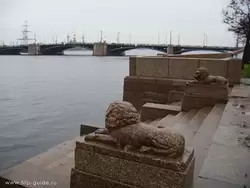Львы на набережной Макарова