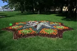 Цветник в Александровском саду