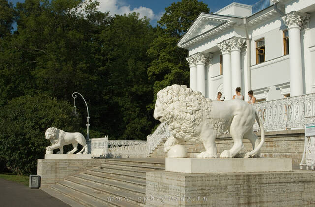 Львы Елагина дворца