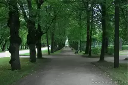 Аллея Павловского парка